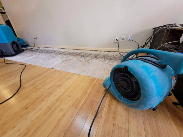 Professional Flood Damage Cleanup technician working in Albright, WV